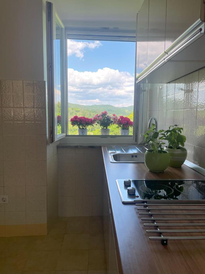 Apartment Kastel Пазин Екстериор снимка